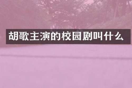 胡歌主演的校园剧叫什么