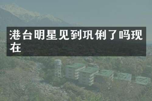 港台明星见到巩俐了吗现在