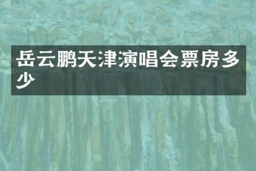 岳云鹏天津演唱会票房多少
