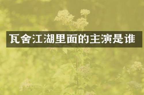 瓦舍江湖里面的主演是谁