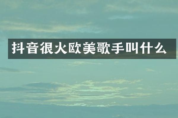 抖音很火欧美歌手叫什么