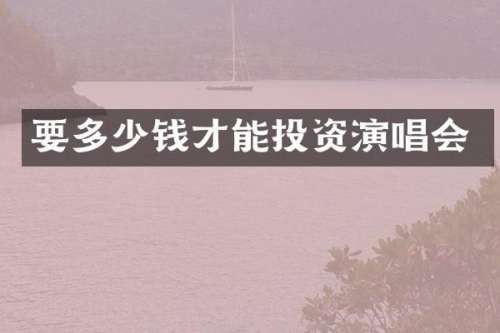 要多少钱才能投资演唱会