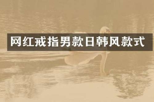 网红戒指男款日韩风款式