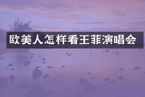 欧美人怎样看王菲演唱会