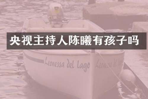 央视主持人陈曦有孩子吗