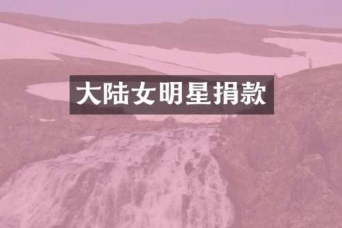 大陆女明星捐款