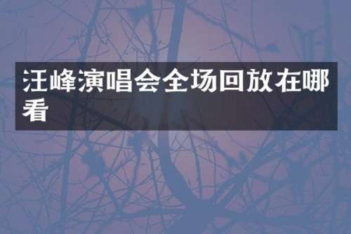 汪峰演唱会全场回放在哪看