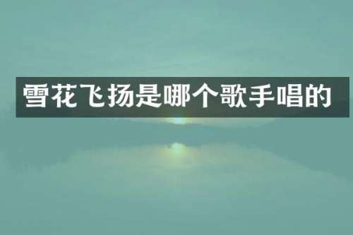 雪花飞扬是哪个歌手唱的