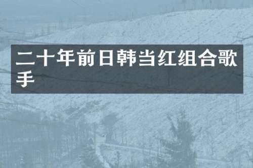 二十年前日韩当红组合歌手