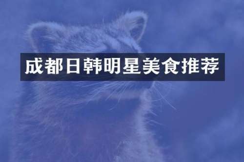 成都日韩明星美食推荐