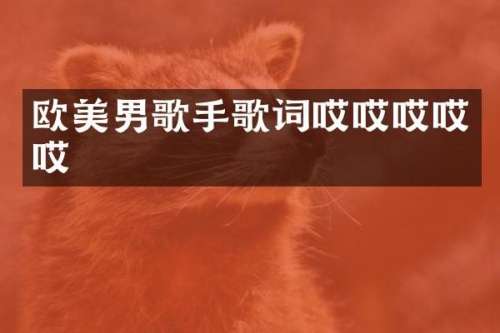 欧美男歌手歌词哎哎哎哎哎