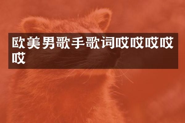 欧美男歌手歌词哎哎哎哎哎