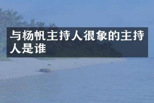 与杨帆主持人很象的主持人是谁