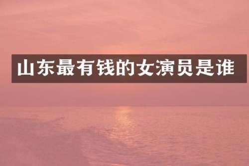 山东最有钱的女演员是谁