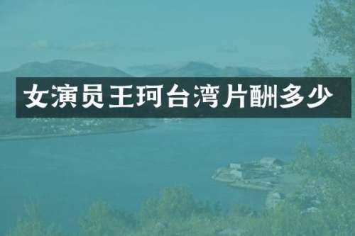 女演员王珂台湾片酬多少