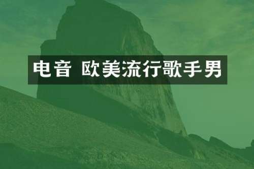 电音 欧美流行歌手男