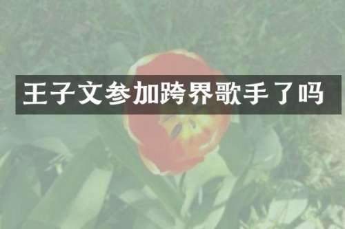 王子文参加跨界歌手了吗