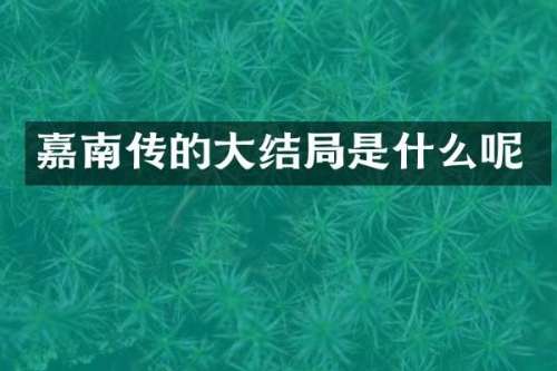嘉南传的大结局是什么呢