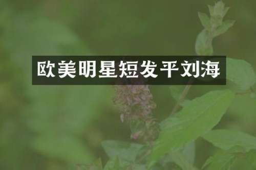 欧美明星短发平刘海