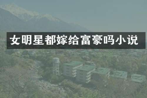 女明星都嫁给富豪吗小说