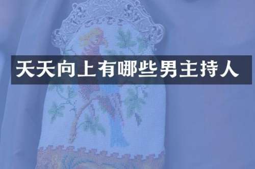 天天向上有哪些男主持人