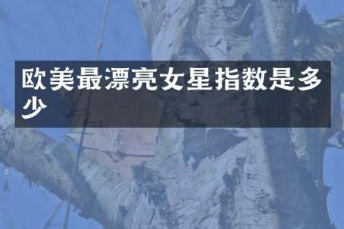 欧美最漂亮女星指数是多少