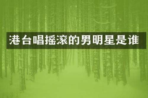 港台唱摇滚的男明星是谁