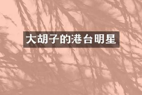 大胡子的港台明星