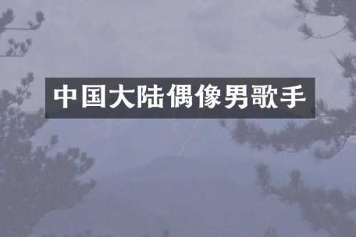 中国大陆偶像男歌手