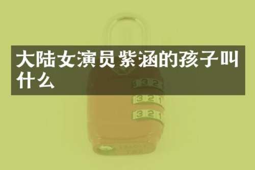 大陆女演员紫涵的孩子叫什么