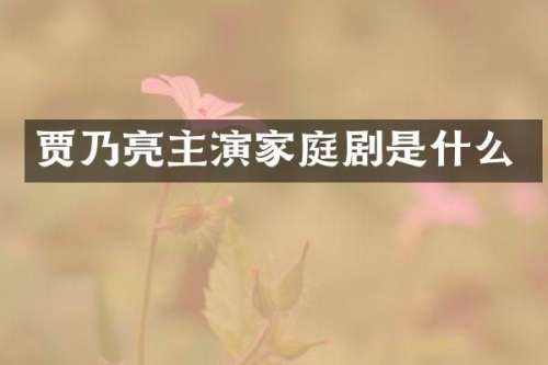 贾乃亮主演家庭剧是什么