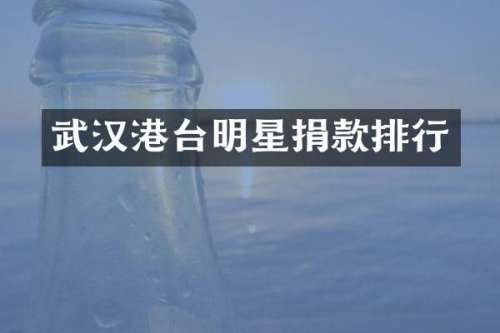 武汉港台明星捐款排行