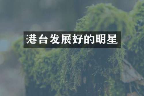 港台发展好的明星