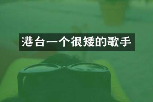 港台一个很矮的歌手