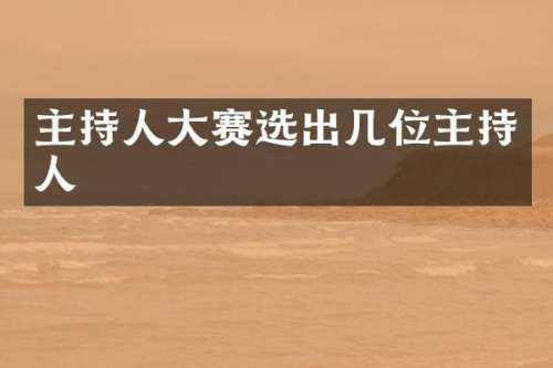 主持人大赛选出几位主持人