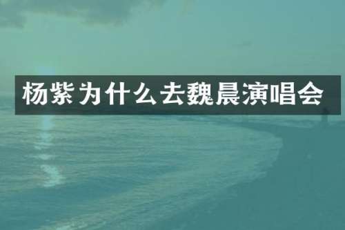 杨紫为什么去魏晨演唱会