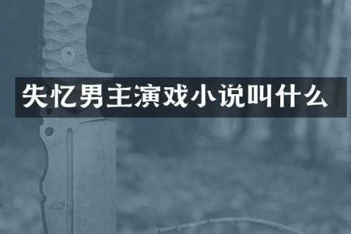 失忆男主演戏小说叫什么