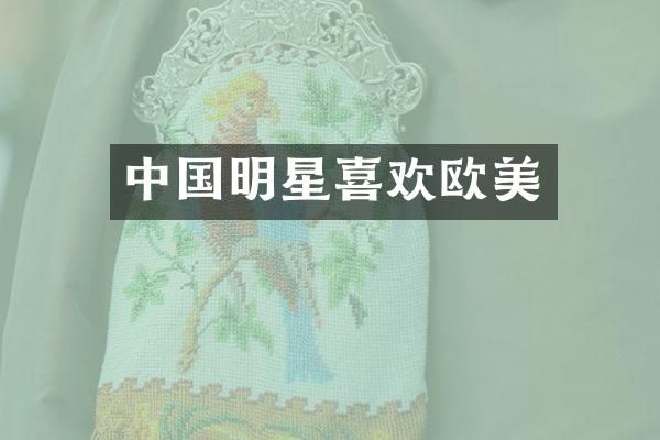 中国明星喜欢欧美