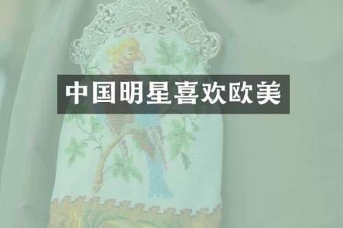 中国明星喜欢欧美