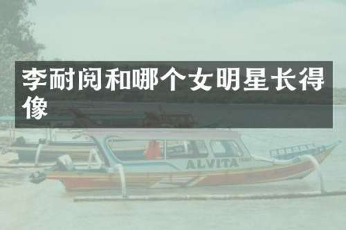 李耐阅和哪个女明星长得像