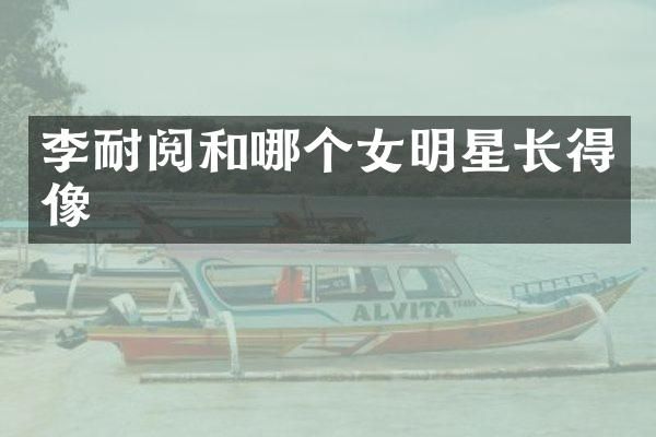 李耐阅和哪个女明星长得像