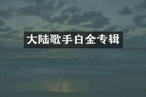 大陆歌手白金专辑