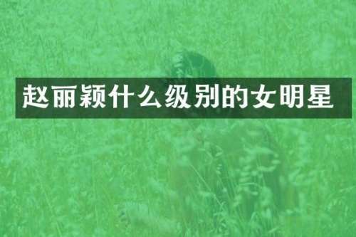 赵丽颖什么级别的女明星