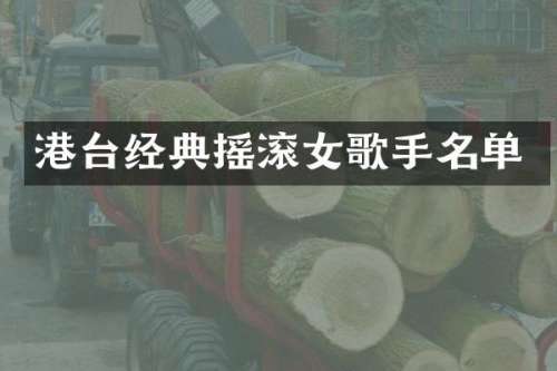 港台经典摇滚女歌手名单
