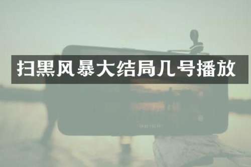 扫黑风暴大结局几号播放