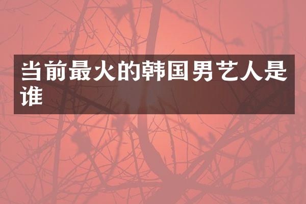 当前最火的韩国男艺人是谁