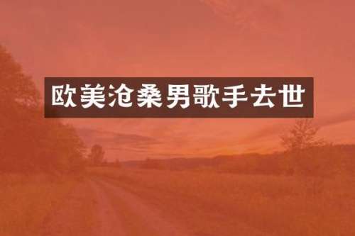 欧美沧桑男歌手去世