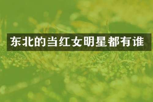 东北的当红女明星都有谁