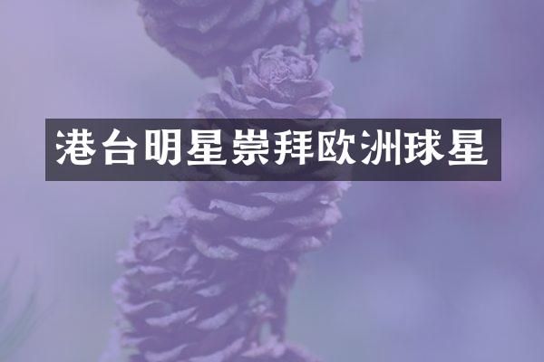 港台明星崇拜欧洲球星