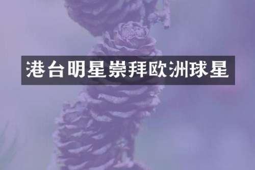 港台明星崇拜欧洲球星